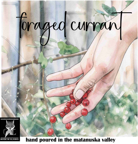 Illustration of a hand holding red berries with 'foraged currant' text and 'Made in Alaska' logo.