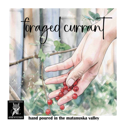 FORAGED CURRANT COCONUT WAX CANDLE