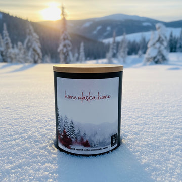 HOME ALASKA HOME HOLIDAY EDITION COCONUT WAX CANDLE