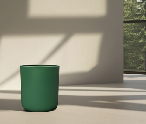 matte pine aura glass candle jar and large windows with spruce trees outside