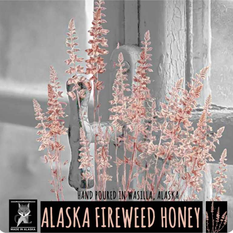 alaska fireweed honey candle, grey fox candles, made in alaska, alaska made, alaska candle company, non-toxic, fireweed