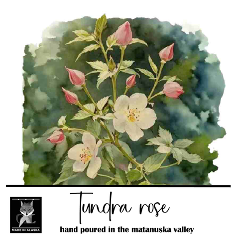 watercolor art of a tundra rose with green leaves and pink buds on a textured green background.