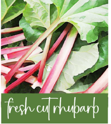 Fresh cut rhubarb with text about product ingredients and usage.