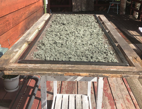 glacier silt shown drying on rack in the sun