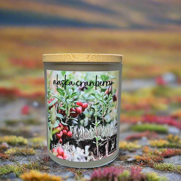 ALASKA CRANBERRY COCONUT WAX CANDLE