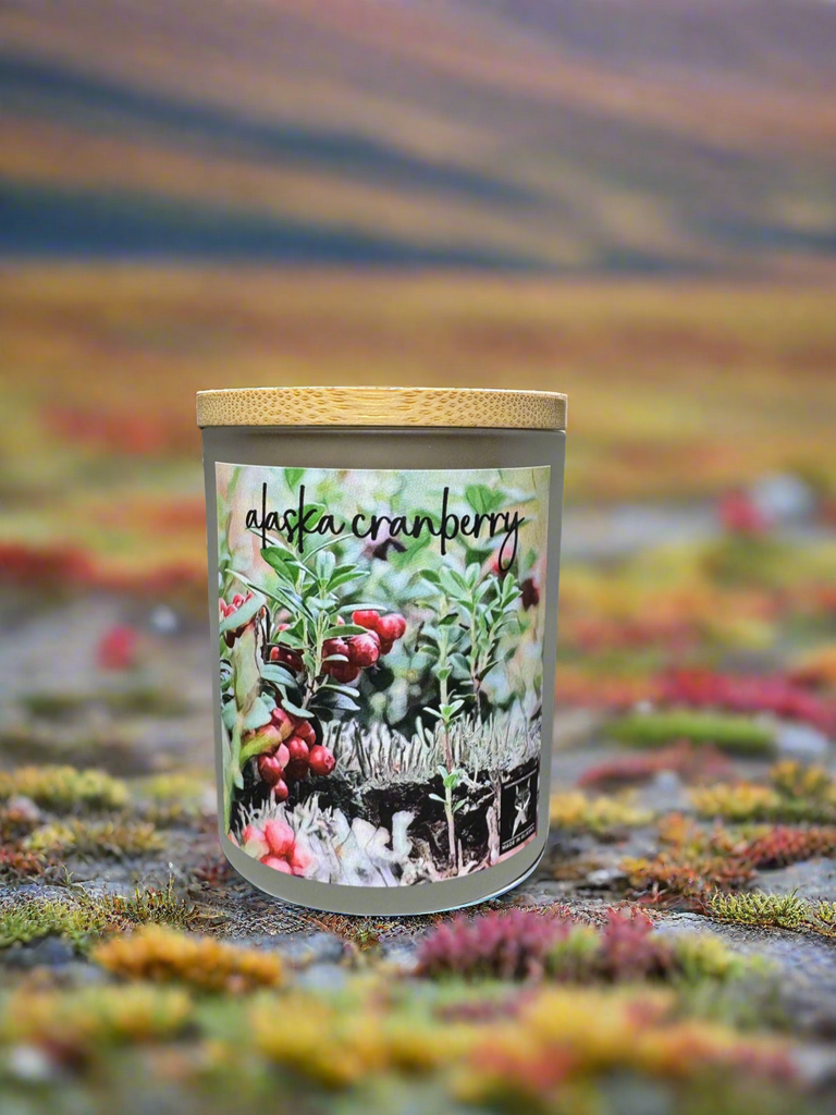 ALASKA CRANBERRY COCONUT WAX CANDLE
