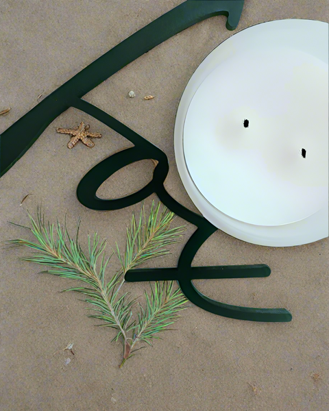 EXPLORE AK COCONUT WAX CANDLE