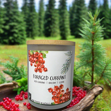 FORAGED CURRANT COCONUT WAX CANDLE