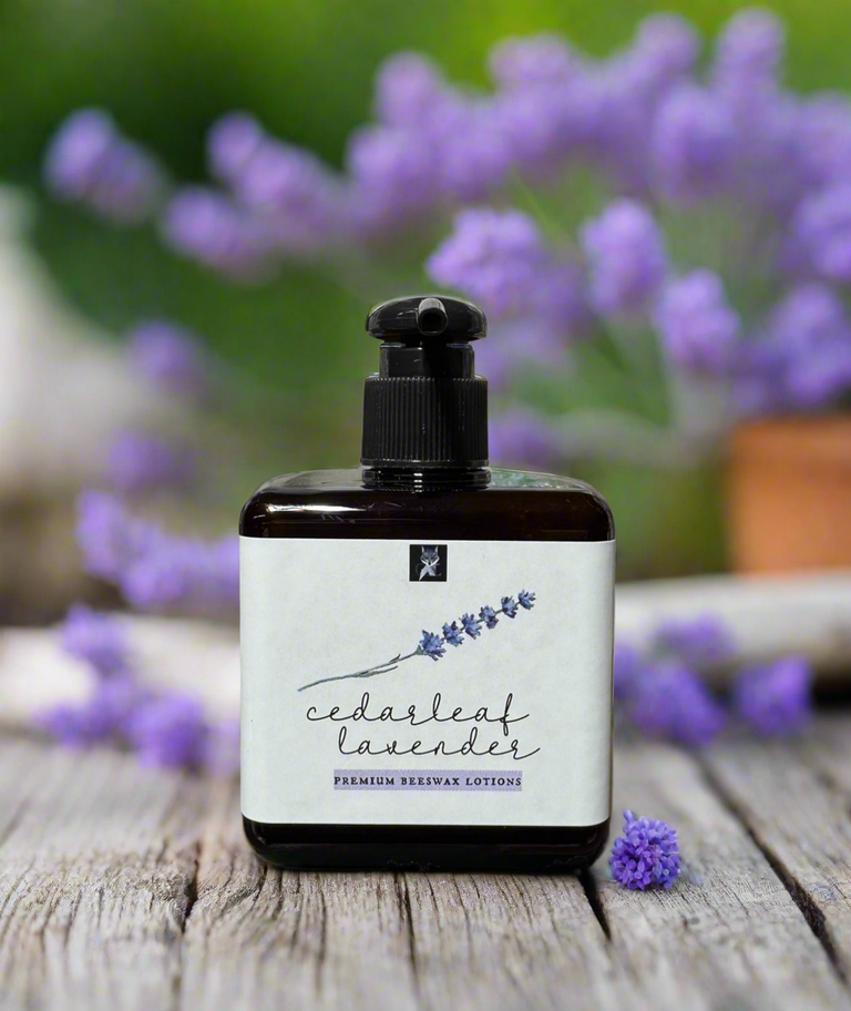 CEDAR LEAF LAVENDER PREMIUM BEESWAX LOTION