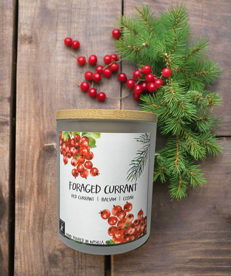 FORAGED CURRANT COCONUT WAX CANDLE