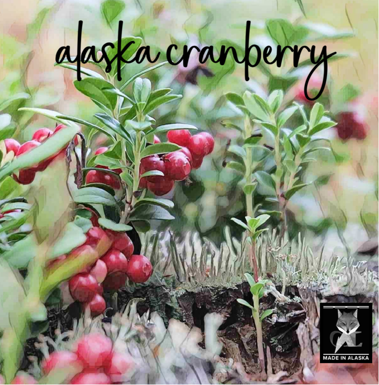 ALASKA CRANBERRY COCONUT WAX CANDLE