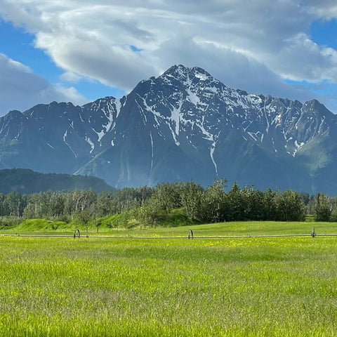 ALASKA IS A LIFESTYLE