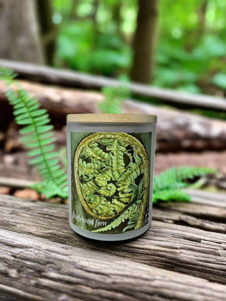 FIDDLEHEAD FERN COCONUT WAX CANDLE