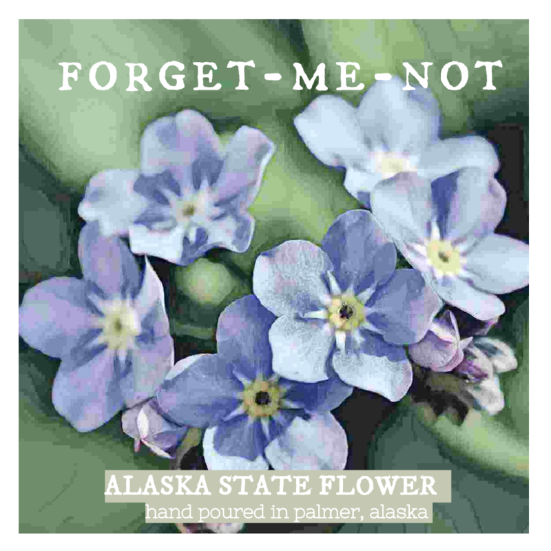FORGET-ME-NOT [ALASKA STATE FLOWER]