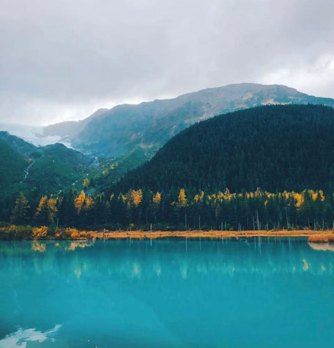 EXPERIENCE ALASKA WITH US