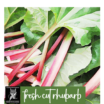 FRESH CUT RHUBARB COCONUT WAX CANDLE