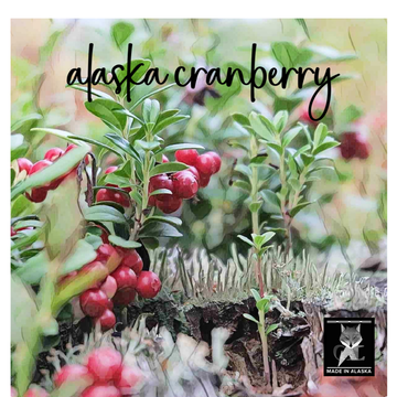 ALASKA CRANBERRY COCONUT WAX CANDLE