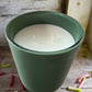 rhubarb coconut wax candle, made in alaska, grey fox candles