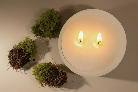 ALASKA COASTLINE COCONUT WAX CANDLE