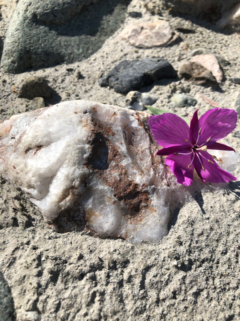 ALASKA SUGAR SCRUB up against a white natural stone in the creek bed, placed on a sandy surface with a pink flower next to it.